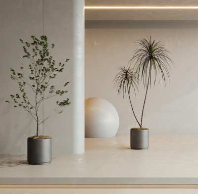 盆栽盆景3D模型下载
